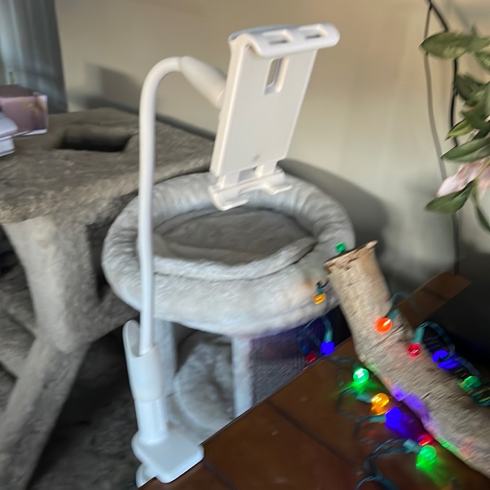 Telephone holder for desks